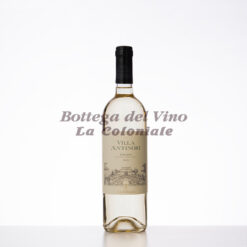 VILLA ANTINORI B